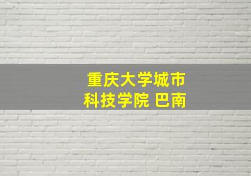 重庆大学城市科技学院 巴南